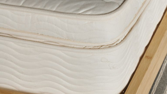 Best Mattress for Scoliosis in Canada