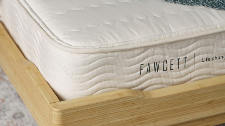 Insomnia Statistics Canada