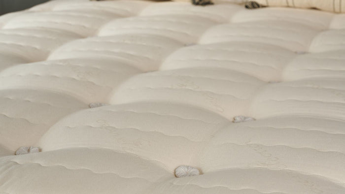 Silk and Snow vs Endy: Finding the Right Mattress in Canada