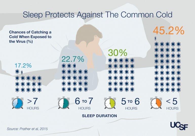Sleep Athletic Performance - Fawcett Mattress