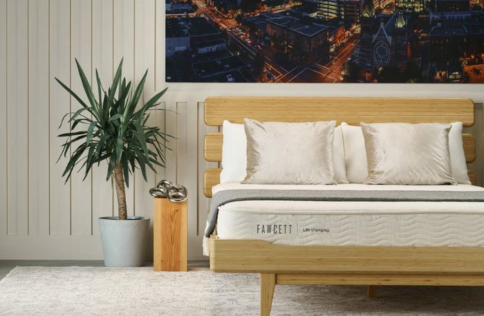 Endy vs Douglas vs Casper Mattress Canada