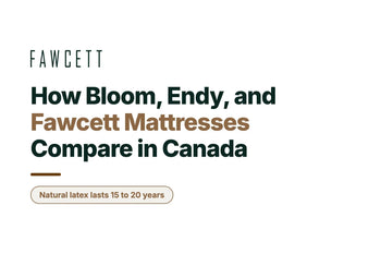Bloom vs Endy Mattress in Canada