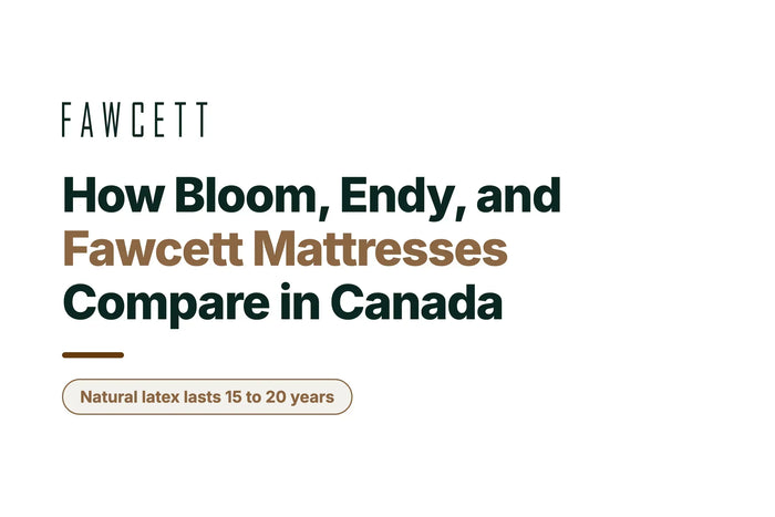Bloom vs Endy Mattress in Canada