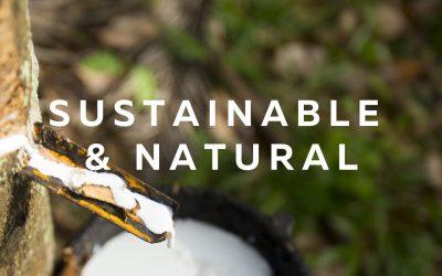 What is the healthiest bed and mattress? - Fawcett Mattress