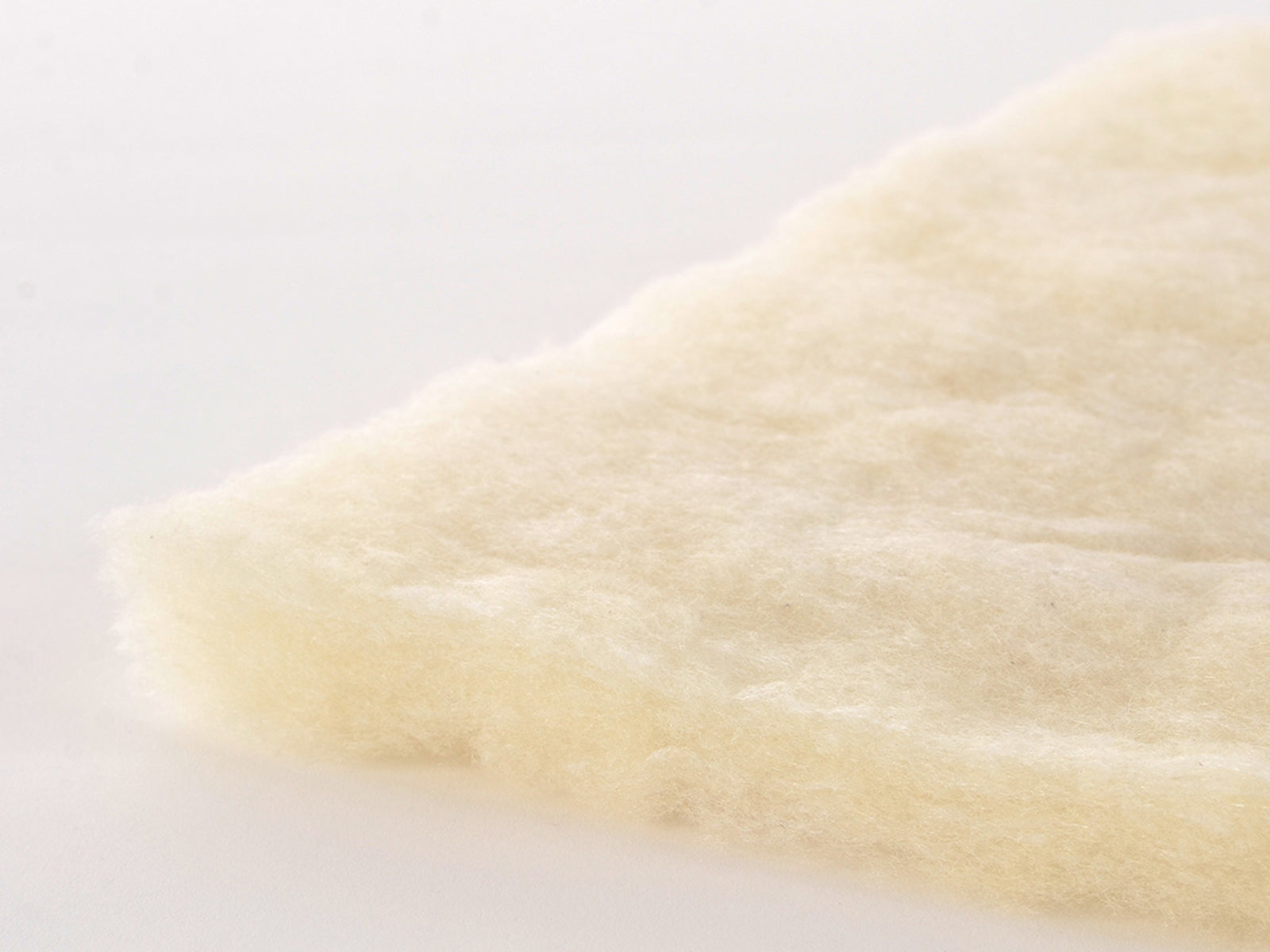 Organic Wool Pillow Protector fill