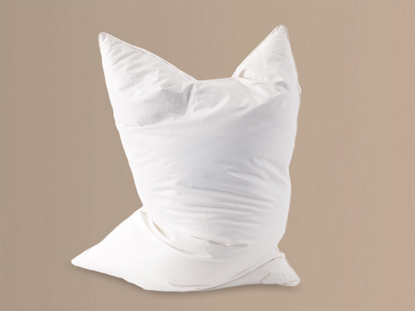 Snowdrop Down Natural Pillow