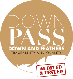 Down Pass Logo
