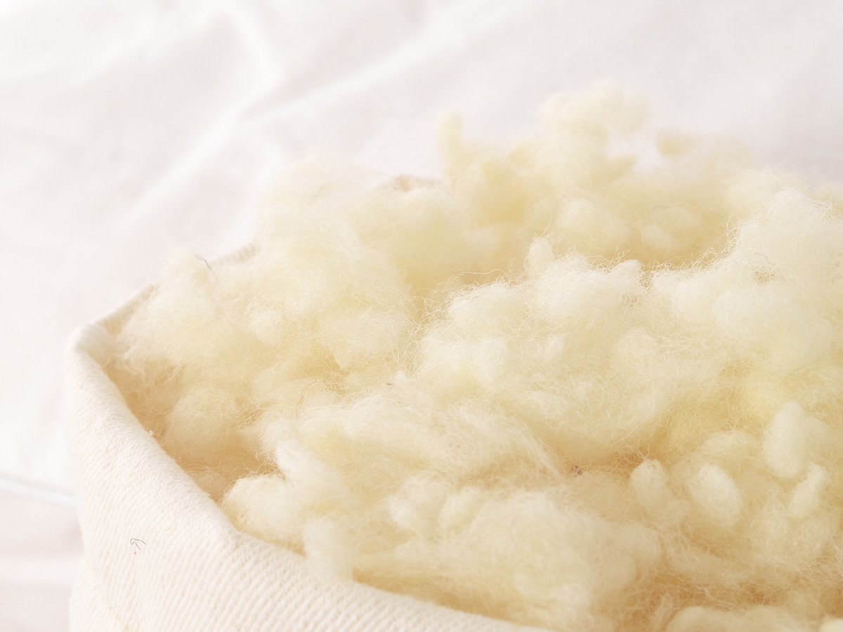 Organic Wool Pillow